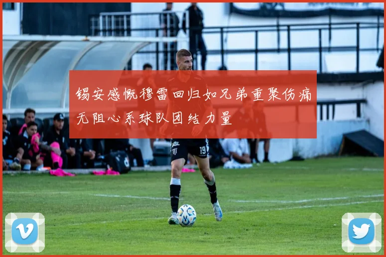 锡安感慨穆雷回归如兄弟重聚伤痛无阻心系球队团结力量
