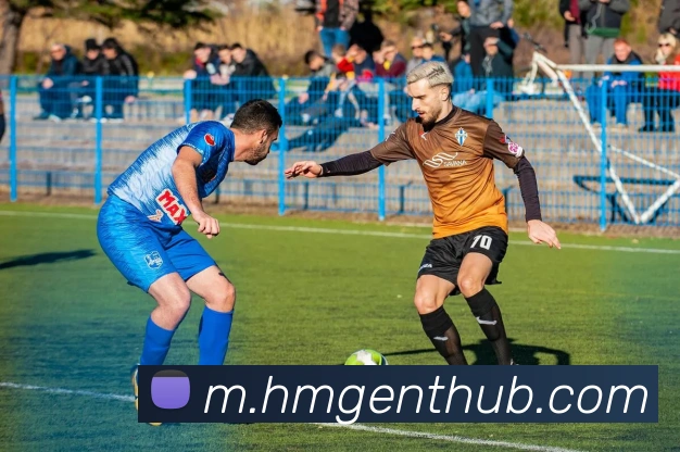 HMG娱乐城平台生态图