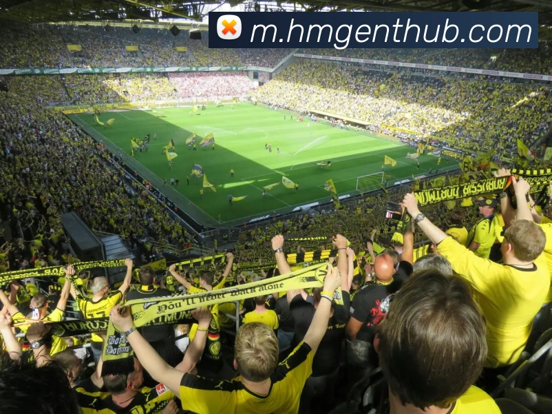 HMG娱乐城全站App